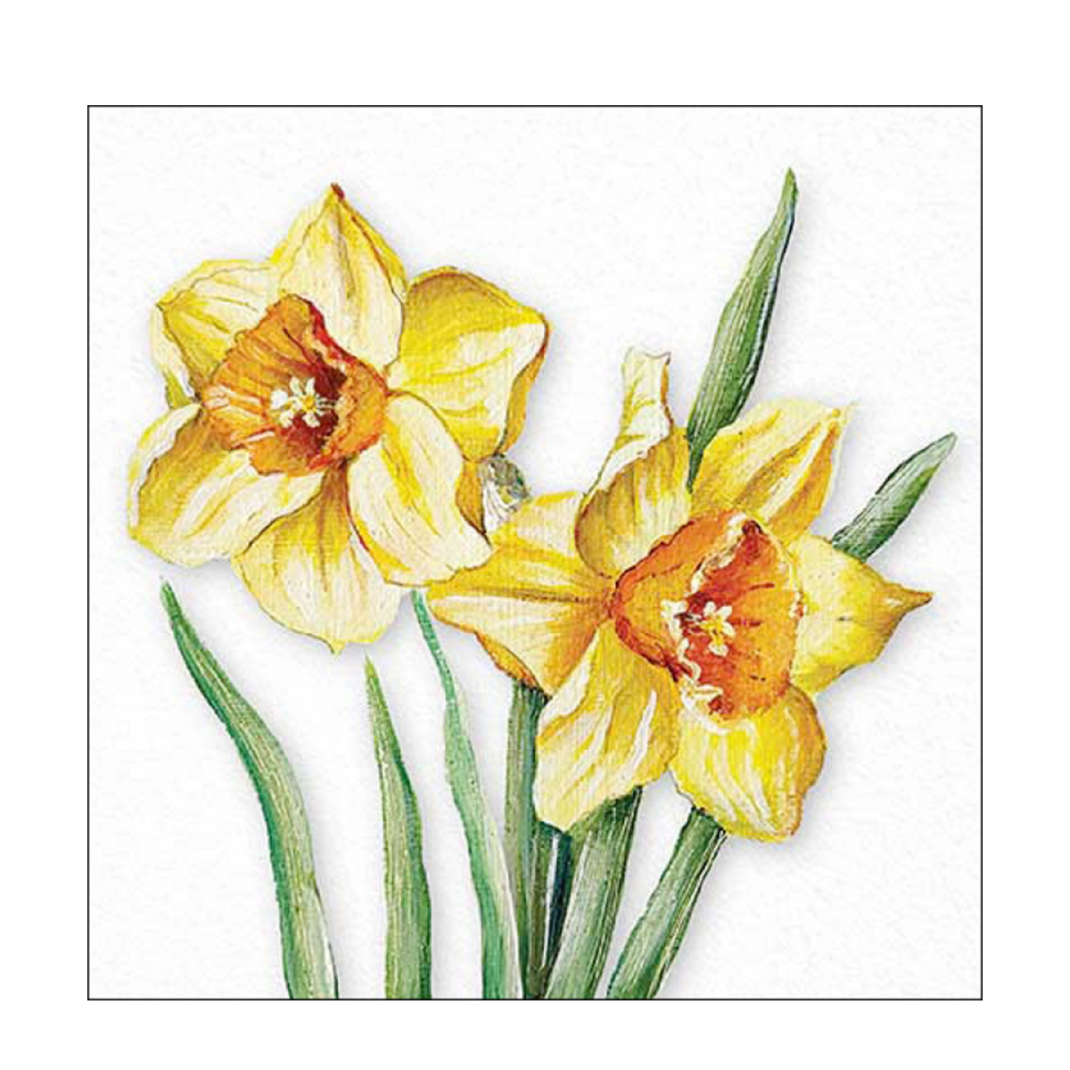 13318490_01JJSDH36R6NFW8FKQA8HQ7CVFpFfL3q87bPWtZ Ambiente Papierservietten, Frühlingsblumen Narzissen, 33x33cm