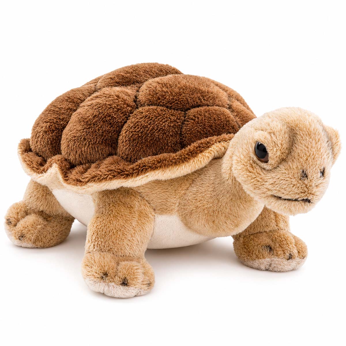 Plüschtier Schildkröte, Plüsch-Landschildkröte, 19cm