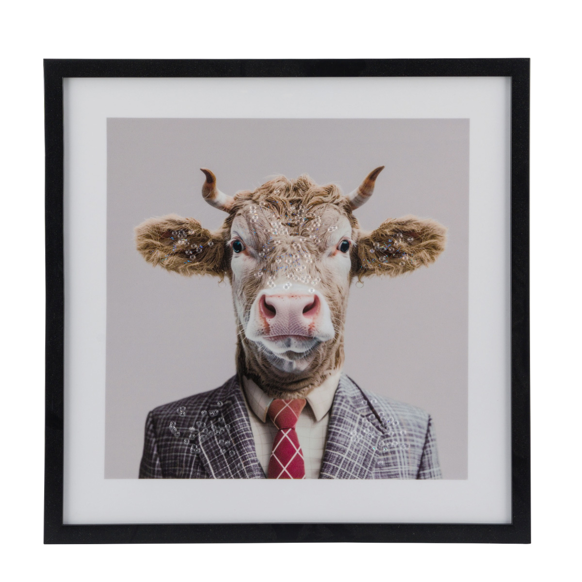 Bild Kuh im Anzug, elegante Kuh mit Krawatte, 50x50cm