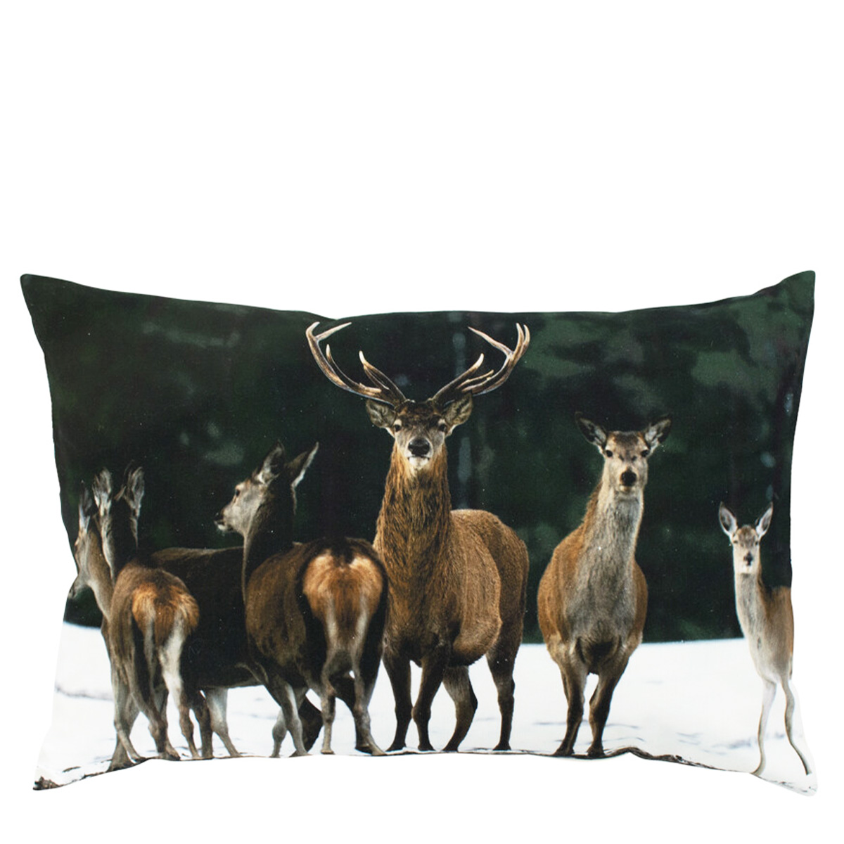 Kanevas Kissen Hirsche, Hirschherde im Winter, 40x60cm, Mars & More