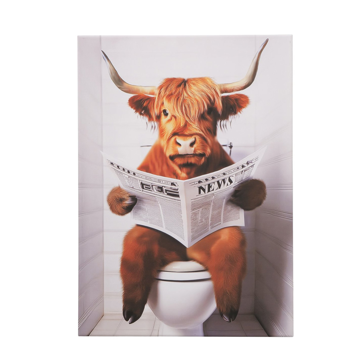 Leinwandbild lustiges Hochlandrind Lumpi beim Zeitungslesen, Stier auf Toilette, 50x70cm