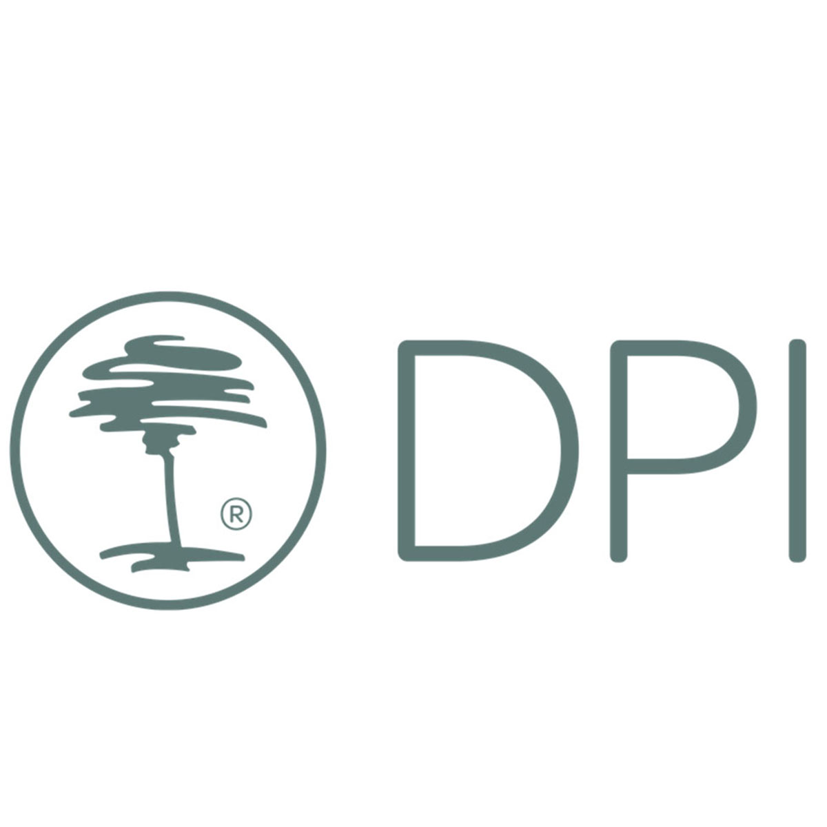 DPI GmbH