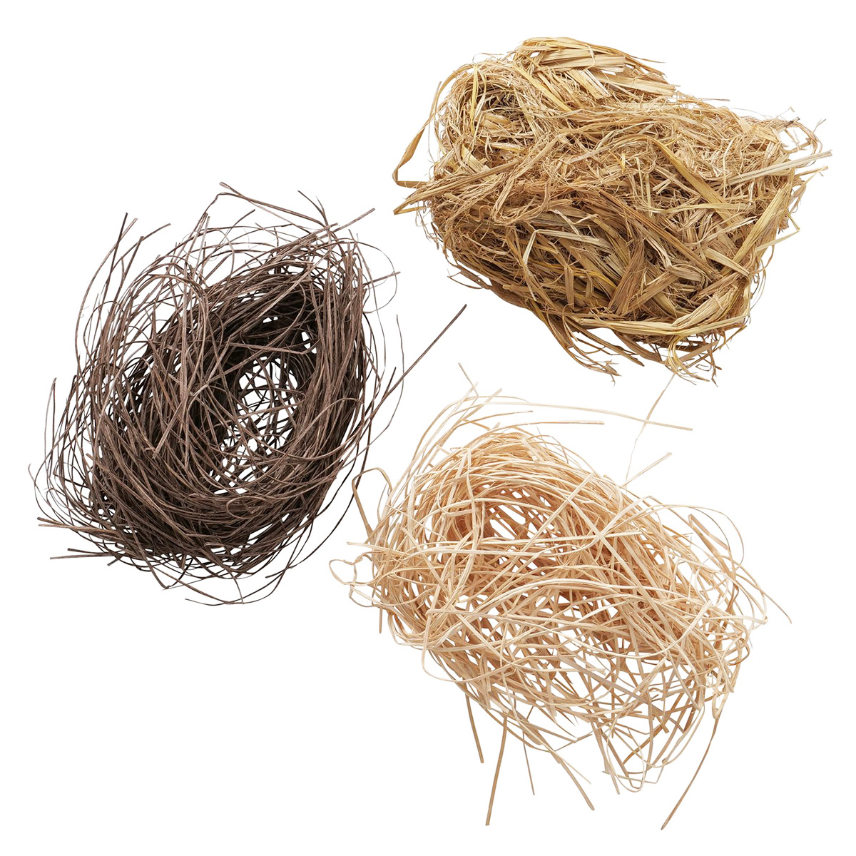 2032291SyzHciuTCvHAP