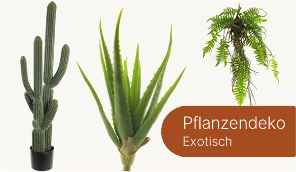 Pflanzendeko Pflanzendeko