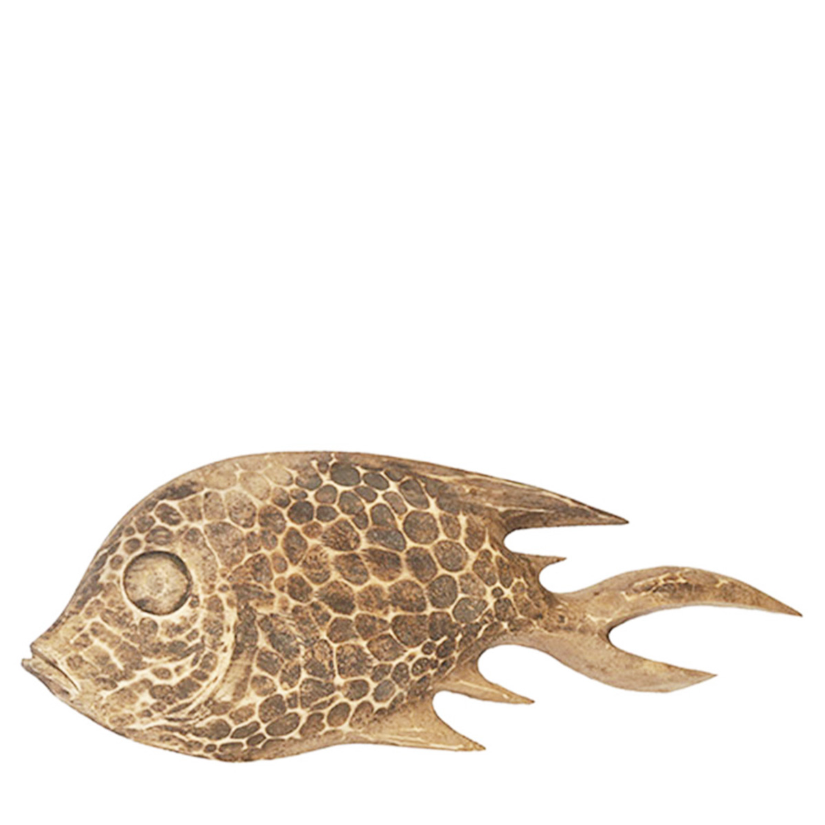 Deko Fisch Gurame, Holzfisch, 70cm, WMG Grünberger