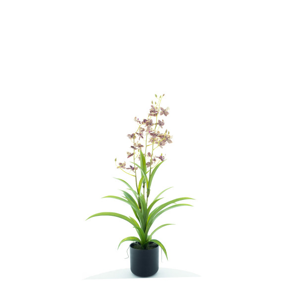 Kunstpflanze Orchidee im Topf, Dendrobium rot-grün, 34cm, getopft