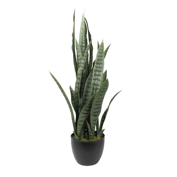 Deko Bogenhanf 90cm getopft