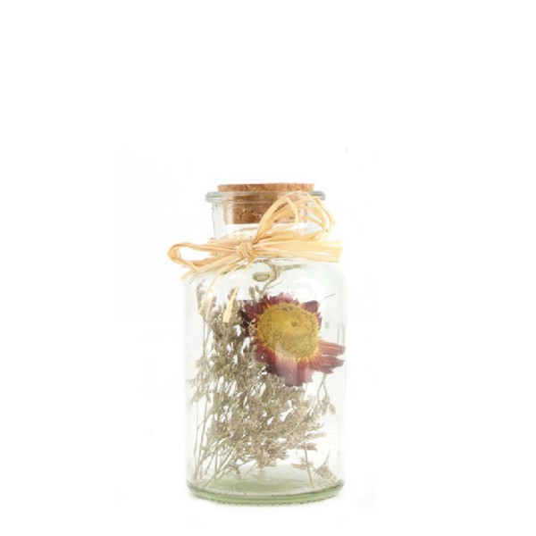 Trockenblumen in der Glasflasche, 14cm, DIJK