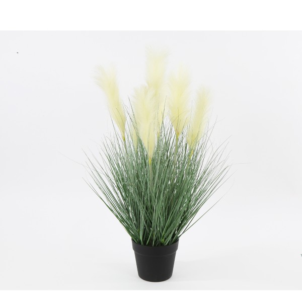 Deko Pampasgras im Top, 75cm