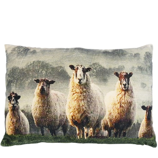 Kissen Samt Schafe im Gras 40x60cm, Mars &amp; More