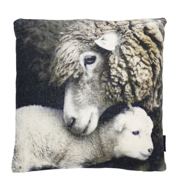 Samt Kissen, Schaf und Lamm, 45x45cm, Mars &amp; More
