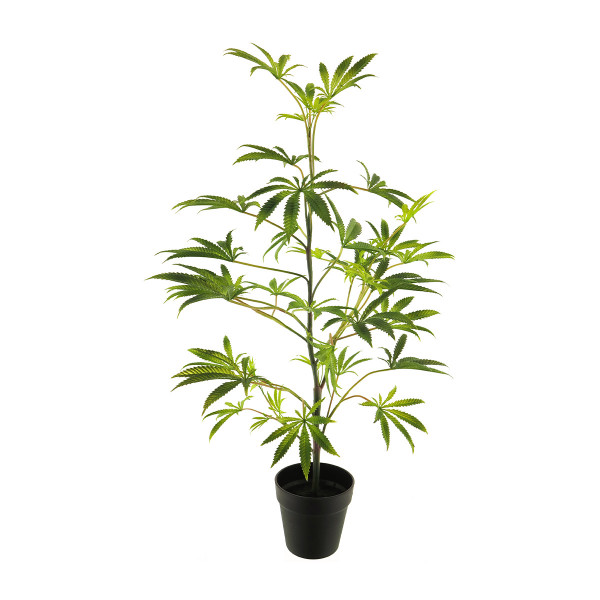 Kunstpflanze Grünpflanze, Hanf im Topf, 90cm, getopft