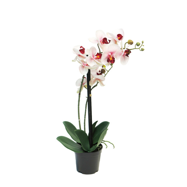 Kunstpflanze Orchidee im Topf, Schmetterlingsorchidee pink, Phalaenopsis Bora, 50cm, getopft