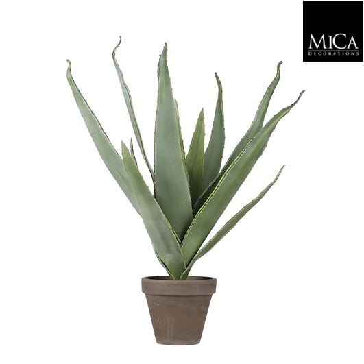 Deko Aloe Vera, getopft, 45cm, Mica