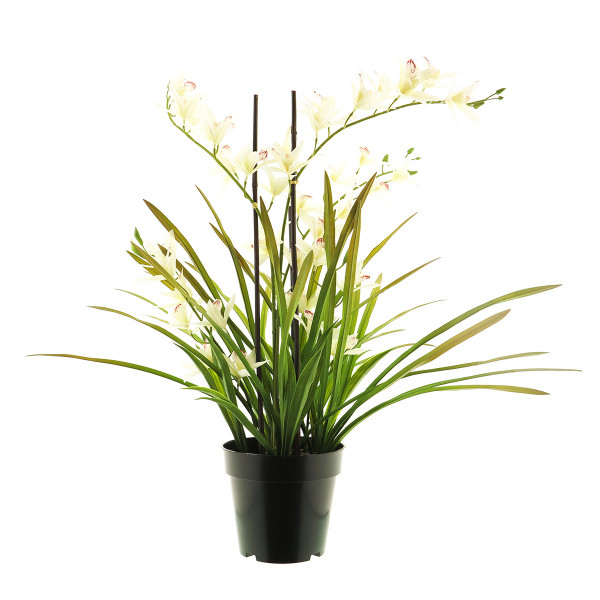 Kunstpflanze Orchidee im Topf, Meadow creme, 71cm, getopft