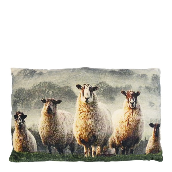 Samt Kissen, Schafe im Gras, 40x60cm, Mars &amp; More
