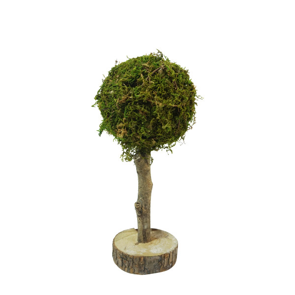 Deko Moosbaum Aride, Mooskugel auf Naturholzstamm, 30cm