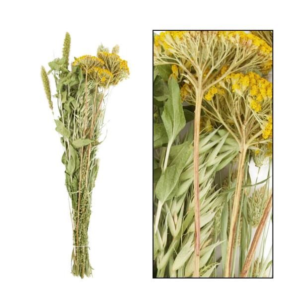 Naturpflanze Trockenblumen Scharfgarbe gemischt, gelb/grün, DIJK Natural Collections