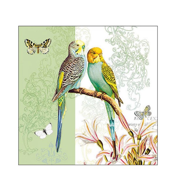 Ambiente Papierservietten, Wellensittiche, Budgies Green, Lunch, 33x33