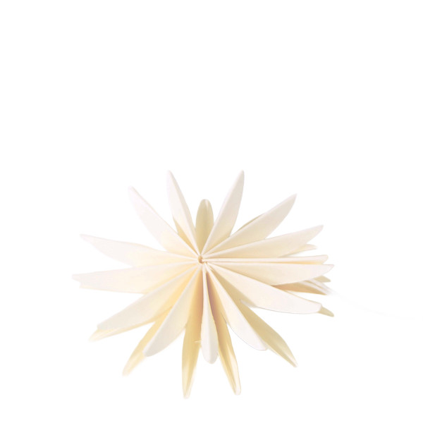 Deko Stern Weihnachten, Papierstern weiß, Weihnachtsstern, Ø8cm, 6St/Box