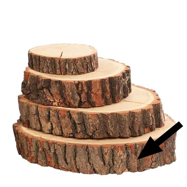 Holzscheibe-Baumscheibe, Eiche, Ø38cm, WMG Grünberger