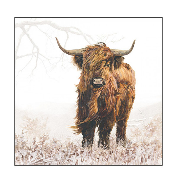 Ambiente Papierservietten Highlander, Schottisches Hochlandrind, 33x33cm