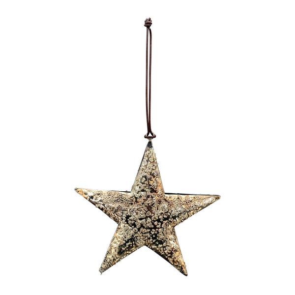 Deko Stern Antiklook, goldener Weihnachtsstern, 9cm, Hänger