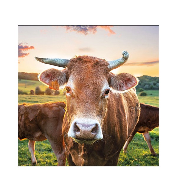 Ambiente Papierservietten Cow in sunset Lunch 33x33cm