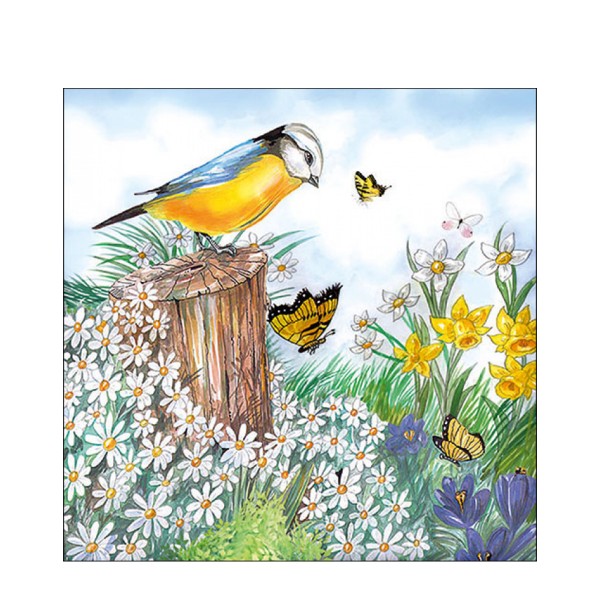 Ambiente Papierservietten, Bird Watching, Lunch, 33x33cm